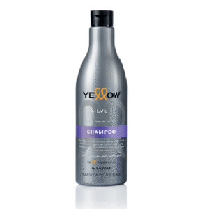 ye-silver-shampoo